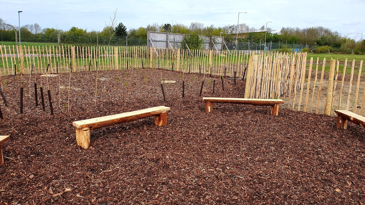 Joanna Zawadzka tweet media