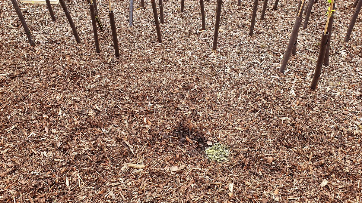 Joanna Zawadzka tweet media