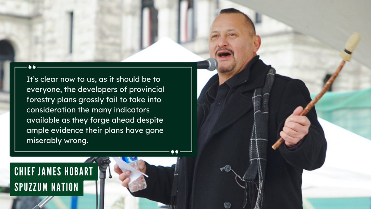 wildernews's tweet image. Chief James Hobart of the Spô’zêm Nation is the host to the last spotted owls in Canada. #BCPoli #SpottedOwls

"We’re now bearing witness to the negative ramifications of this gross misrepresentation [of forestry management] of the BC gov." 4/5🧵

📸: Desiree Wallace