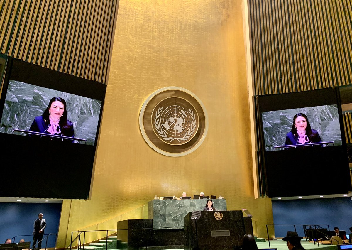 “Small States are here to push back against isolationism & unilateralism. 

We are here to restore legitimacy to the institutions which we know we need and which are being undermined, day after day, by one or more of their erstwhile guarantors.” #vetoinitiative