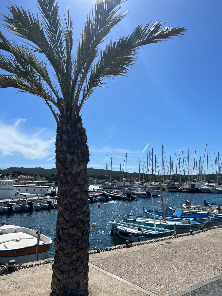 Thanks to Olivier Fayard (below), ceo & winemaker for #SainteMargueriteProvence for illuminating visit. Top producer of classic Provencal Rose - much enjoyed on famous L'Estagnol beach opposite island of Porquerolles (pictured) #France #Provence