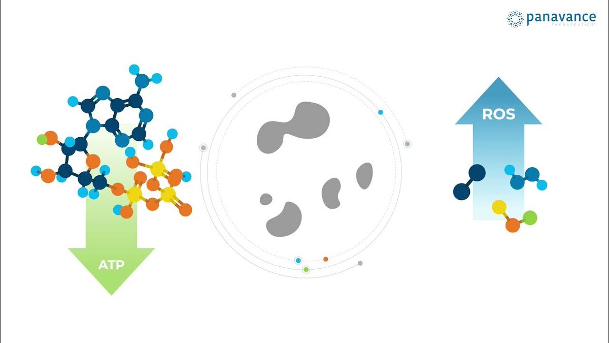 We believe that our highly tumor cell selective asset may offer a broad benefit across many cancers and in combination with existing treatments. Learn more here: bit.ly/42WsU99 

 #Cancer #Oncology #DisruptingCancersEnergy #pancsm #PancreaticCancer #OvarianCancer