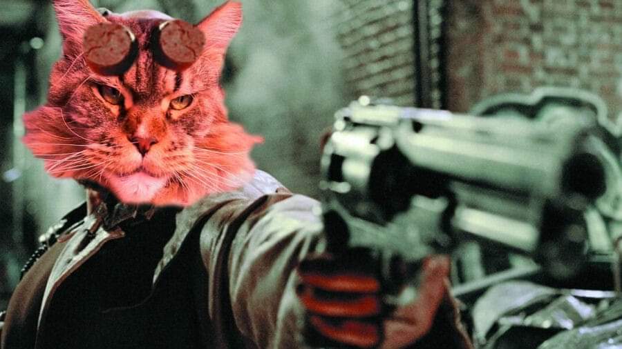 Look out for me as Ron Pearlmans stunt double in the new Hellboy film

#ronpearlman
#hellboy
#hellcat
#movies