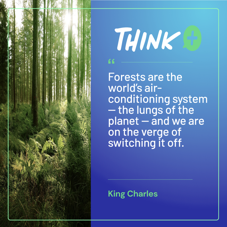 ThinkEnergyPlus's tweet photo. To look back at all that we've accomplished in the month of April, so far we have saved an average of over 7,000 trees a day! That's a lot of trees! https://t.co/6LXZGD6EaE