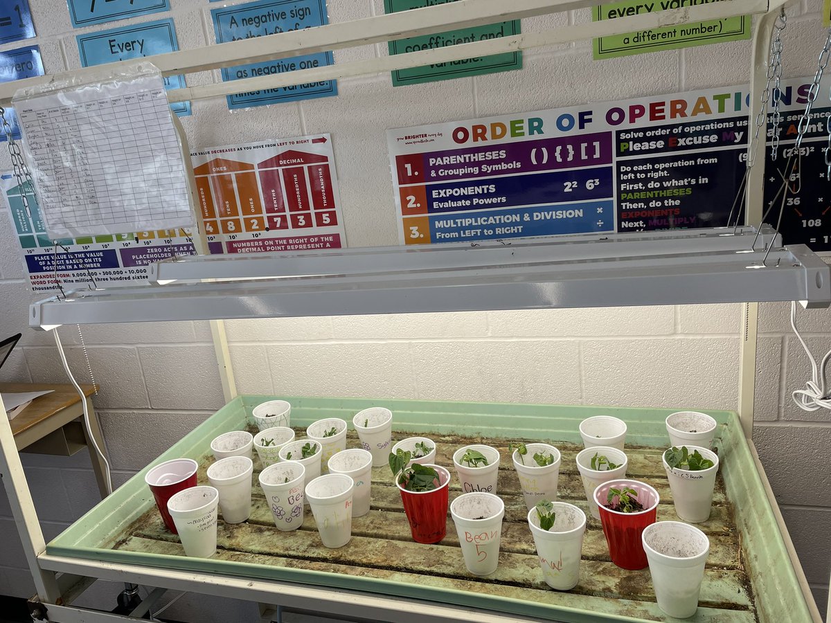 mrsnagy_nhcs's tweet photo. Our data is growing! 😀 🪴 @FPSchools #math8 https://t.co/MkztkO6ko0