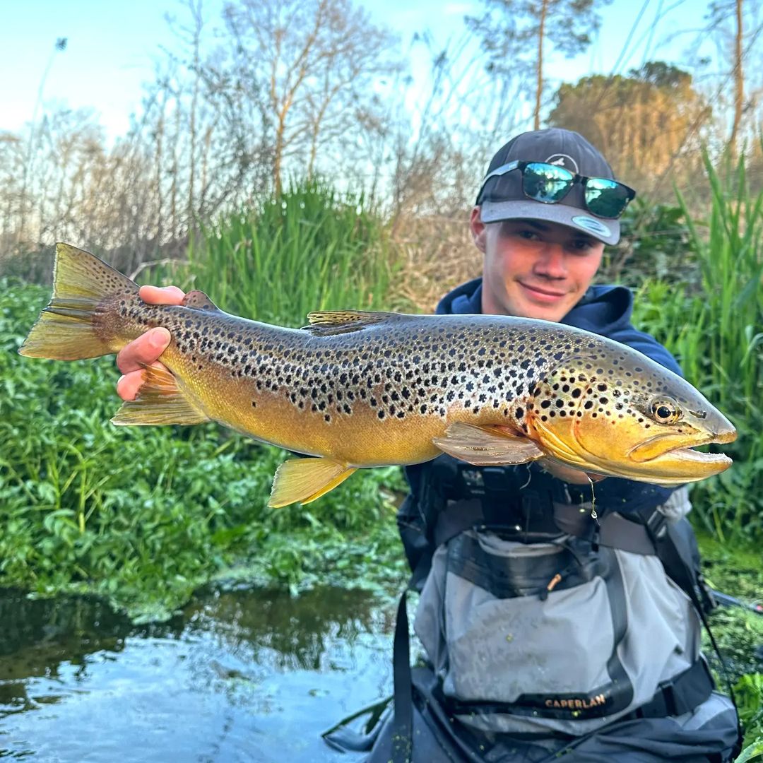 86Ali3's tweet photo. Rate the catch out of 10...
#fishing #fishinglife #fishingtrip https://t.co/QVZ2HgCEQr