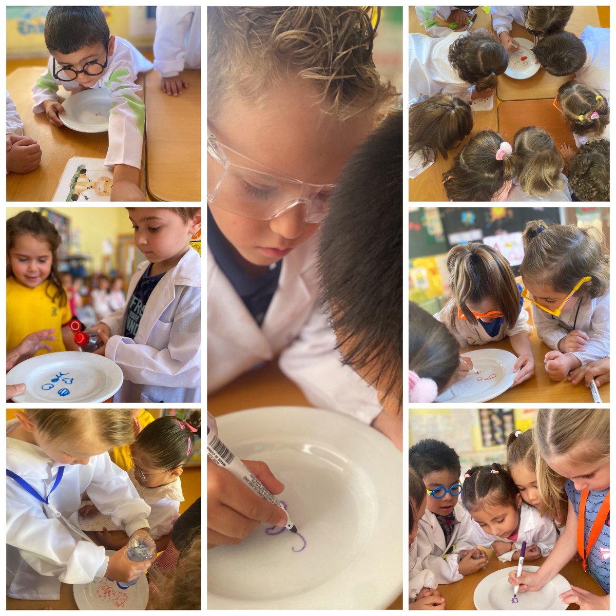 nazaretoporto's tweet photo. Hoy #infantil celebra su #EstrellaCientífica 🌠 #OPORTunidad para acercar la ciencia a los más pequeños de una manera divertida: estrellas mágicas, el dibujo se mueve, pimienta, agua y jabón… #Diverciencia en acción!! https://t.co/FT0LGYHfs2