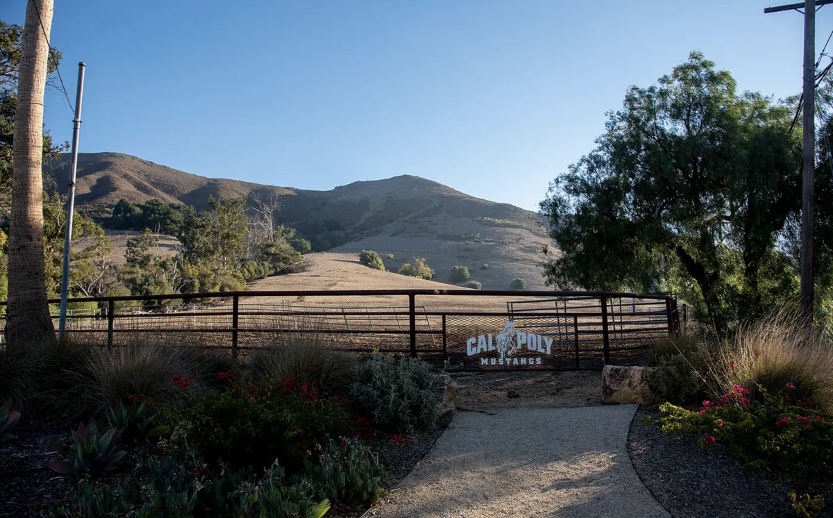 CalPolyPartners's tweet photo. A new faculty and staff housing project on the corner of Slack Street and Grand Avenue is on schedule to break ground later this year. The project is to form a faculty and staff community close to campus. For more, see https://t.co/HYb5nTL68J.
#CalPoly #DelivertheDifference https://t.co/7jHNhg1nK9
