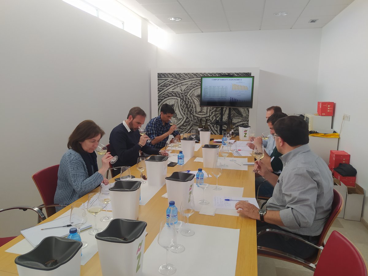 ITACYL's tweet photo. Visita de técnicos de @Matarromera, interesados en el proyecto "#VITICOM:Alternativas para una viticultura competitiva y sostenible"
Les mostramos el ensayo de variedades resistentes a enfermedades y sus resultados preliminares y finalizamos con una cata de los diferentes vinos https://t.co/fzkavwCcFh