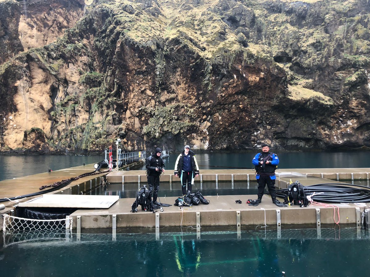 Can you help us raise money for new diving gear?

These funds will help us buy BCDs, regulators, fins and extra wetsuits - key items to ensure our team can be ready to jump into the water as needed.

Thank you to those who have supported us already! 💙

bit.ly/3oJB2tT