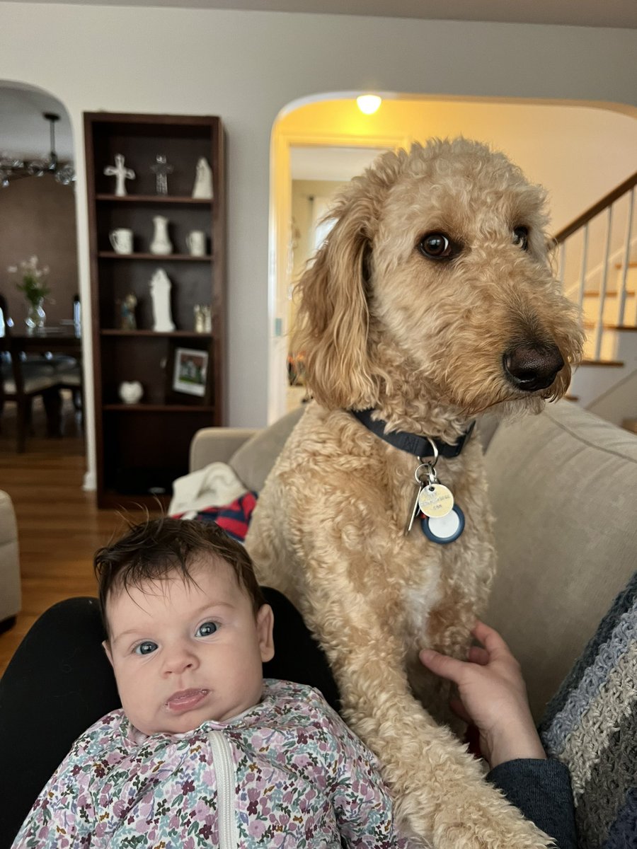 CeeCee_1215's tweet photo. POV: your house is run by these two https://t.co/znk0Ft6ltT