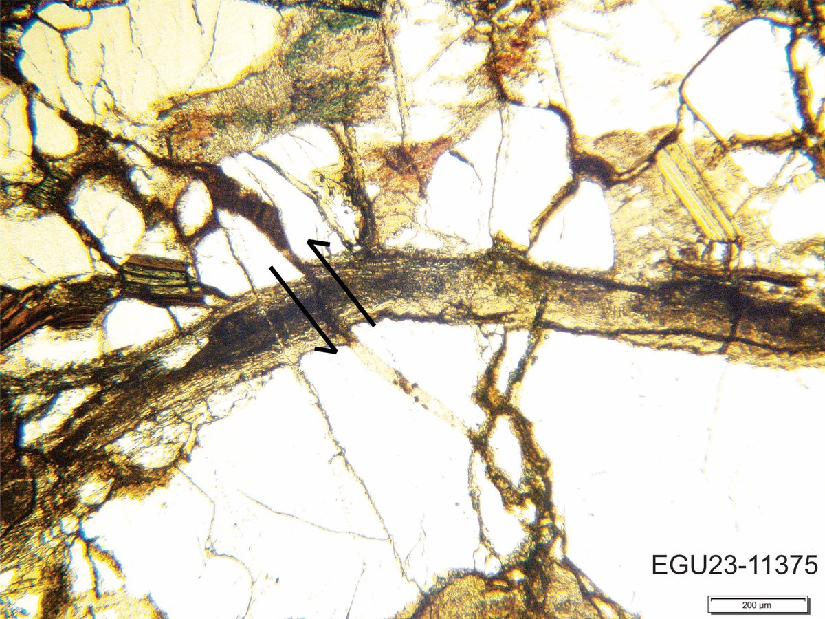 Dr. Cara Burberry, PG tweet media