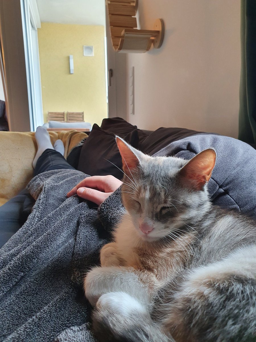 Izzi Smith tweet media