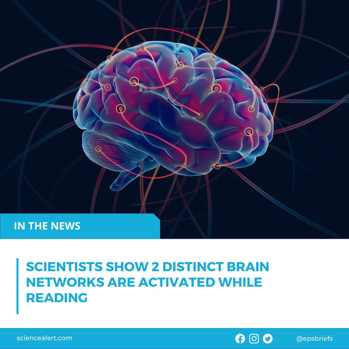 Two different brain networks interact to help us understand words and extract sophisticated, higher-level meaning from sentences, according to research 🧠

Read more: bit.ly/43ZK7ii

#neuroscience #humanbrain #learning #brainresearch