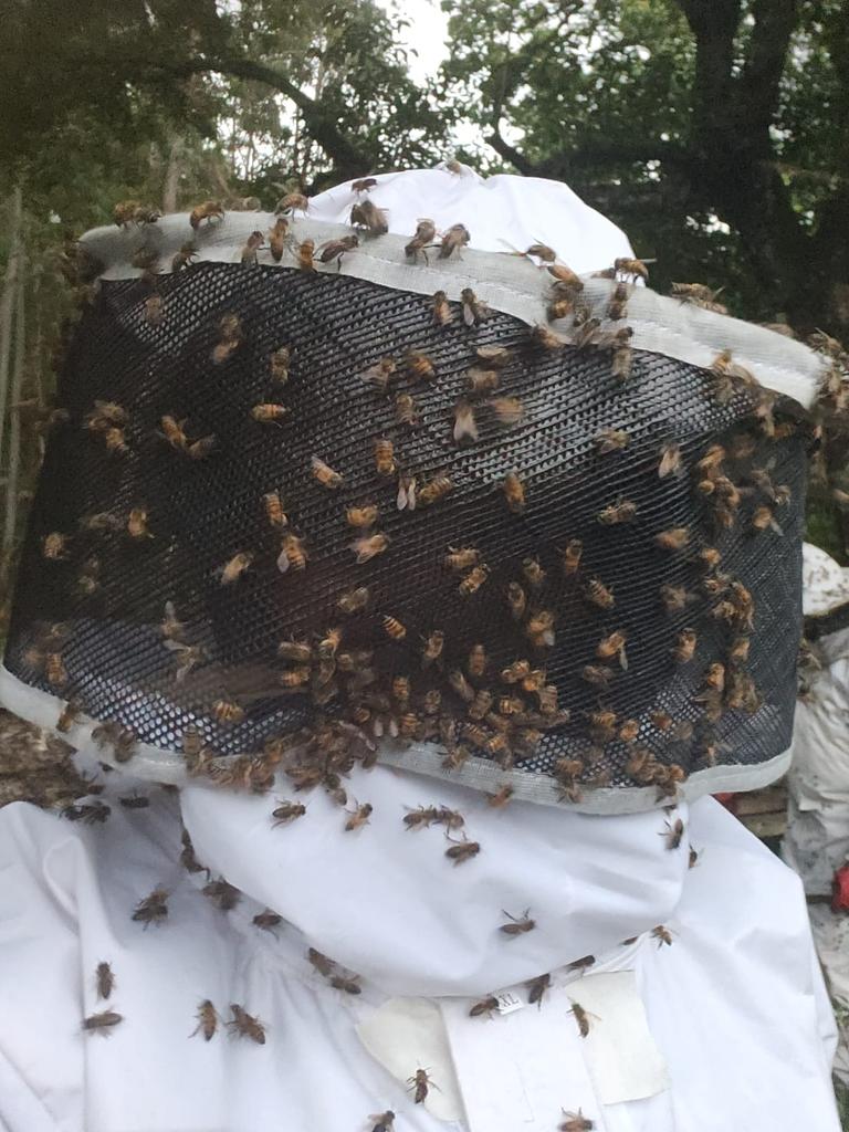 charlruto's tweet image. We visited some neighbours to see how they are handling their beekeeping practices after a theoretical training we did last month and help harvest honey. We encouraged them to frequently check on their hives so that their bees get accustomed to human interaction. #BeeCommunity