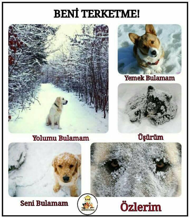 patipat_tr's tweet photo. En çok da seni özlerim 😢 https://t.co/aQnYhaXV5n