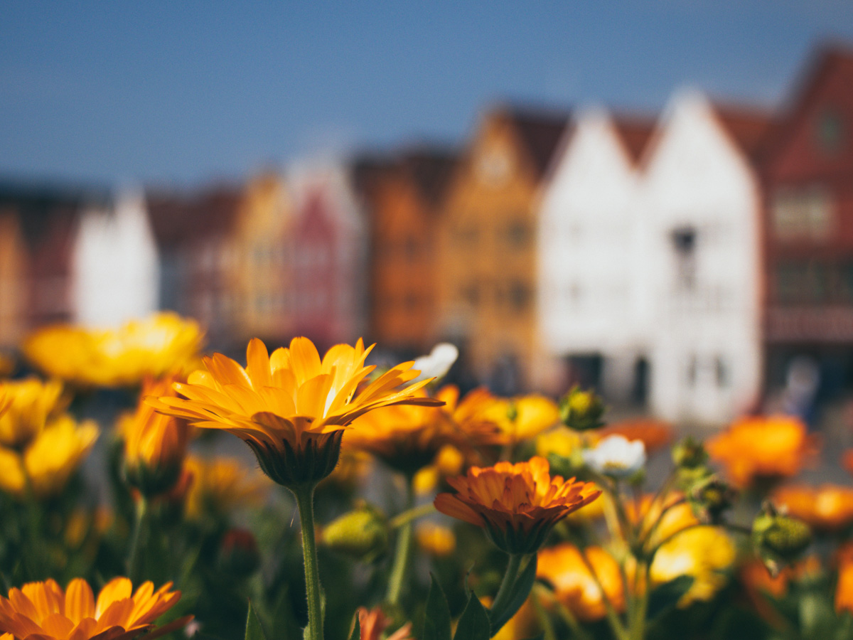 Vi servono consigli per progettare il vostro giardino urbano? Leggete il nostro articolo! engelvoelkers.com/d/7Qo6/