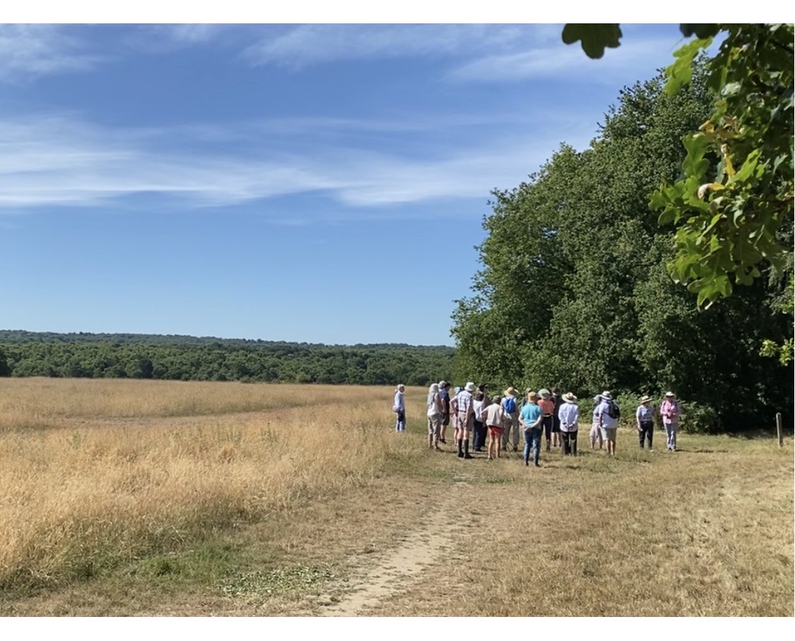 nadean_moses's tweet photo. Banstead Commons Conservators guided walk program 2023 taking you through a mosaic of habitats and open meadows. Reserve a place today โฆ@BCConservatorsโฉ
#parkDowns #BansteadDowns #BansteadHeath #spring #naturebeauty #surrey #walks https://t.co/j0XsJIc5BG