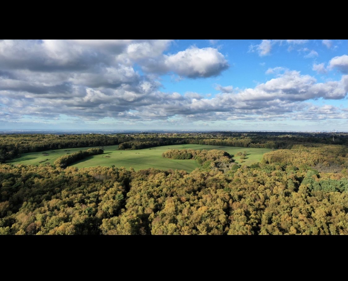 nadean_moses's tweet photo. Banstead Commons Conservators guided walk program 2023 taking you through a mosaic of habitats and open meadows. Reserve a place today โฆ@BCConservatorsโฉ
#parkDowns #BansteadDowns #BansteadHeath #spring #naturebeauty #surrey #walks https://t.co/j0XsJIc5BG
