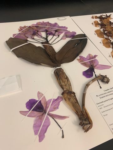 24 heures de science tweet media