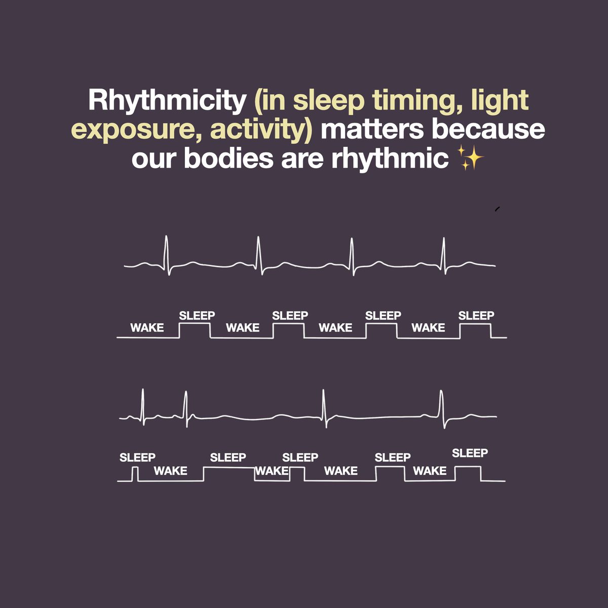 Sleep regularity analogy time✨