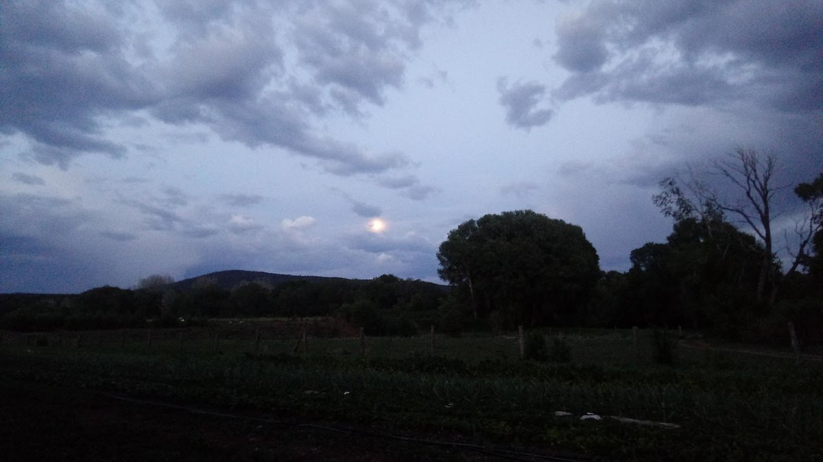 Farmer Fraggle on Twitter "RT TownsUsa East Pecos, New Mexico