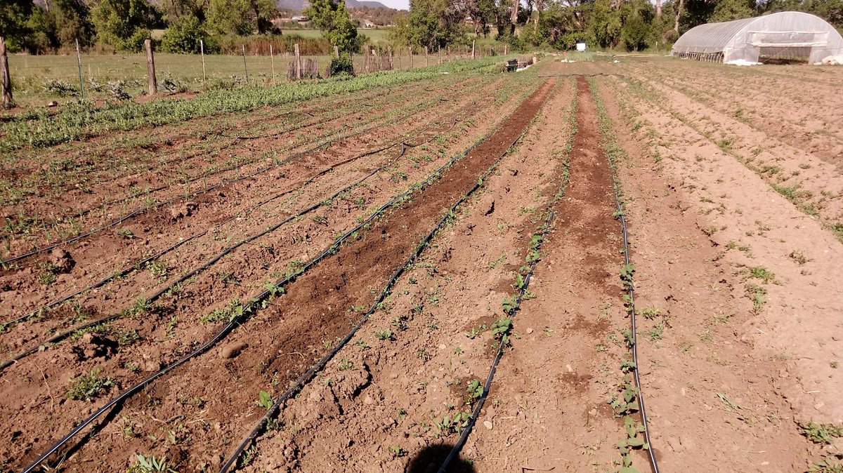 Farmer Fraggle on Twitter "RT TownsUsa East Pecos, New Mexico