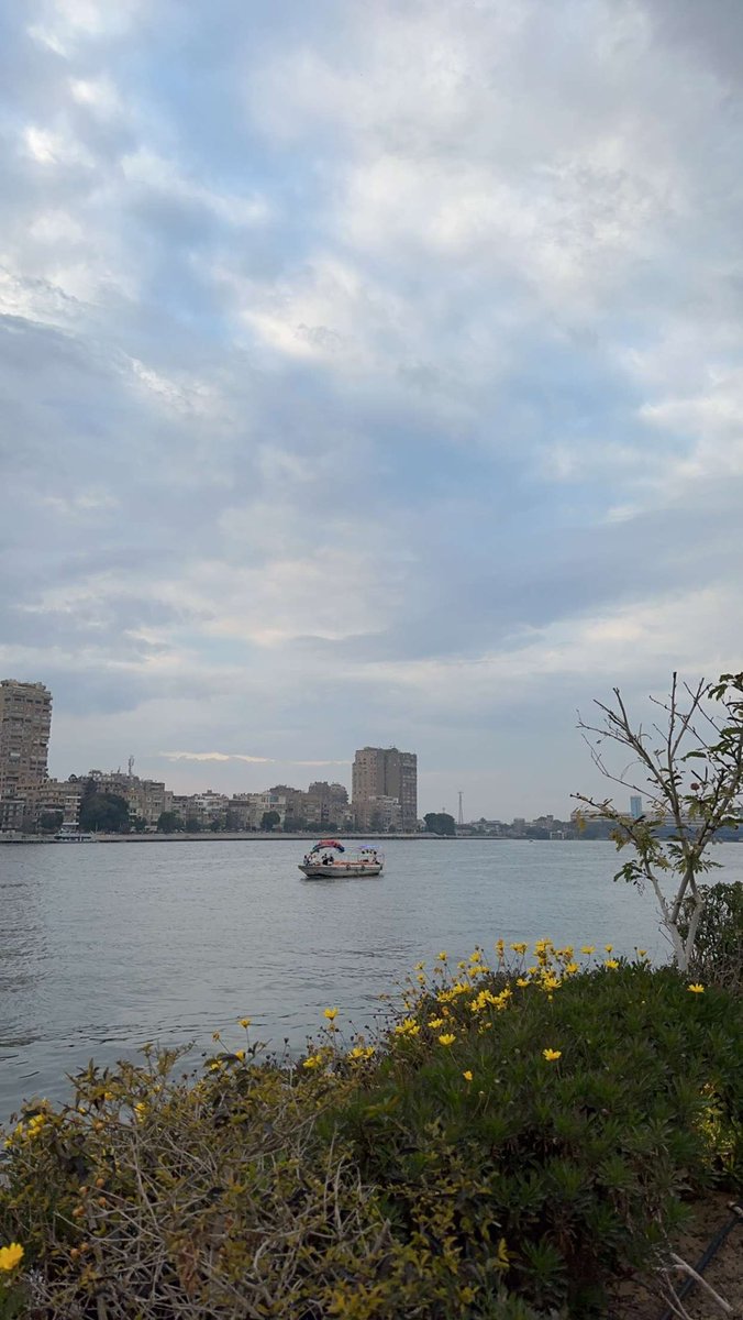 هُنا القاهرة ونسمات النيل الباردة ..♥️🇪🇬

#خليجيون_في_مصر 🇪🇬