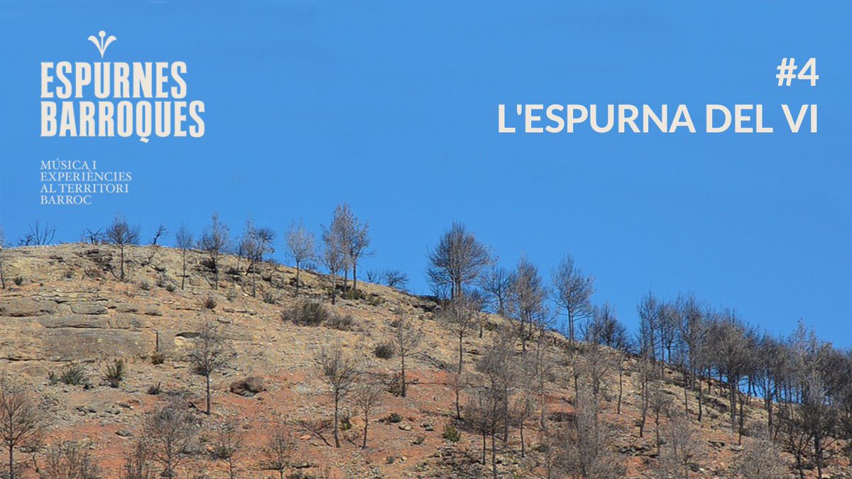espurnesbarroqs's tweet image. 🎙️PÒDCAST #4 - L’ESPURNA DEL VI

El vi és l’eix central de L’Espurna, el 4t episodi del pòdcast del Festival. 

🛖 Viatgem fins a les Tines de la #ValldelFlequer per conèixer el patrimoni únic de pedra seca que s’hi amaga de la mà del Jordi Perich, del restaurant @Cal_Carter.

⬇️