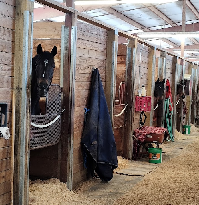 EmeraldDowns's tweet photo. The horses are here; racing starts in 10 days - Saturday, May 6, 1 PM - Kentucky Derby Day.
#TheRushReturns #ExploreAuburn https://t.co/gPFu7rkQWz