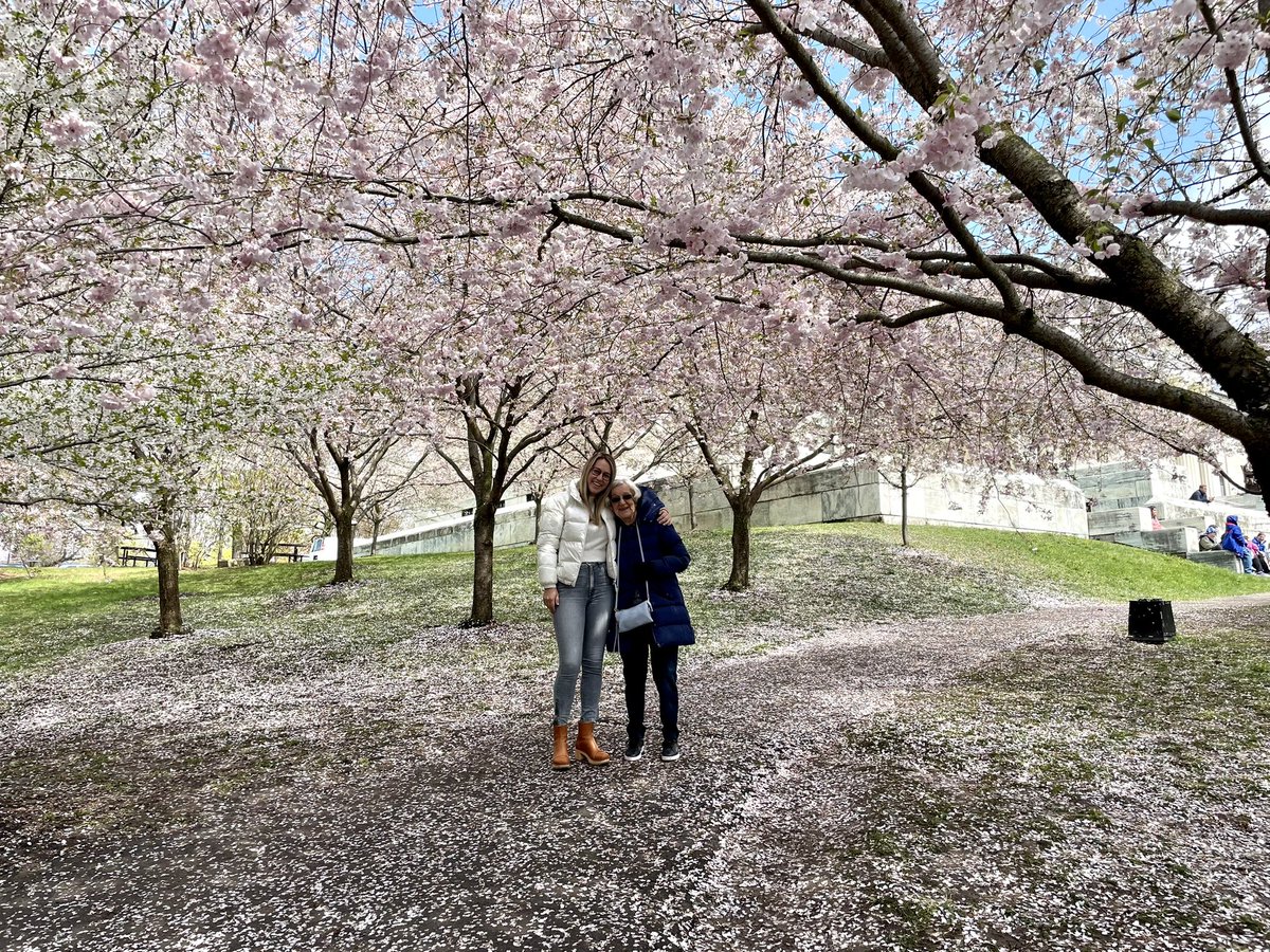 Kelsey Anderson tweet media