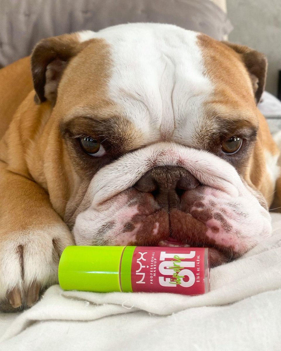NYXCosmetics's tweet photo. pls do not disturb me and bestie are busy https://t.co/mppgY5upul