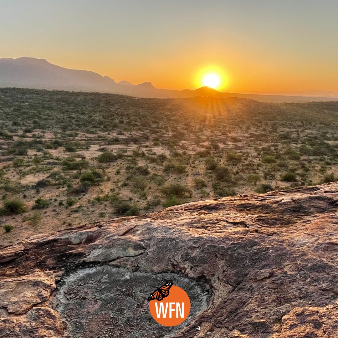 Whitley Fund for Nature tweet media