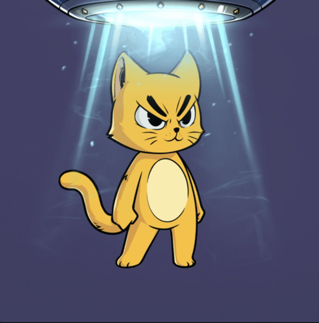 Beardless 🇦🇺 tweet media