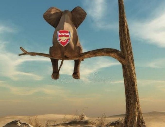 Troll Football tweet media