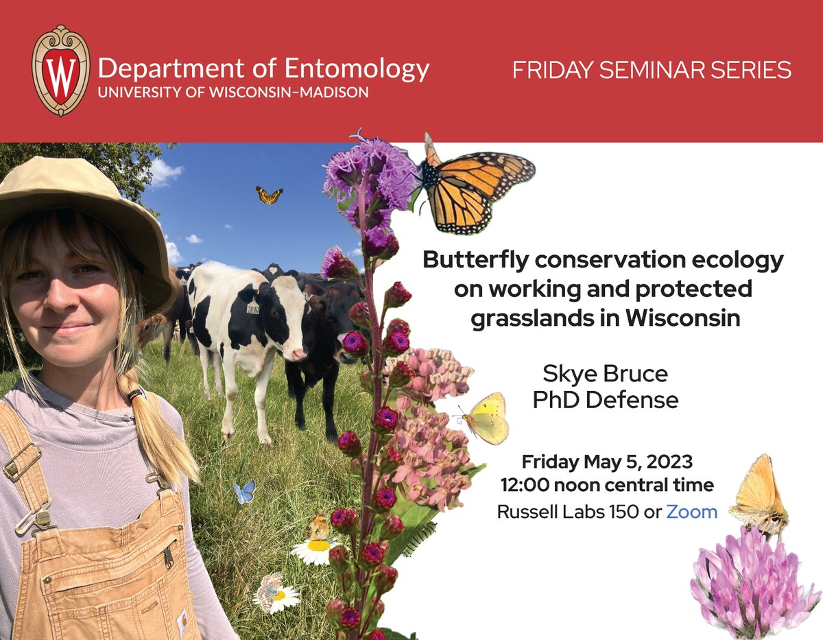 I am defending my PhD next Friday, May 5 at 12PM CT! Tune in to hear about butterfly conservation on working and protected grasslands 🦋 DM me for the link.
