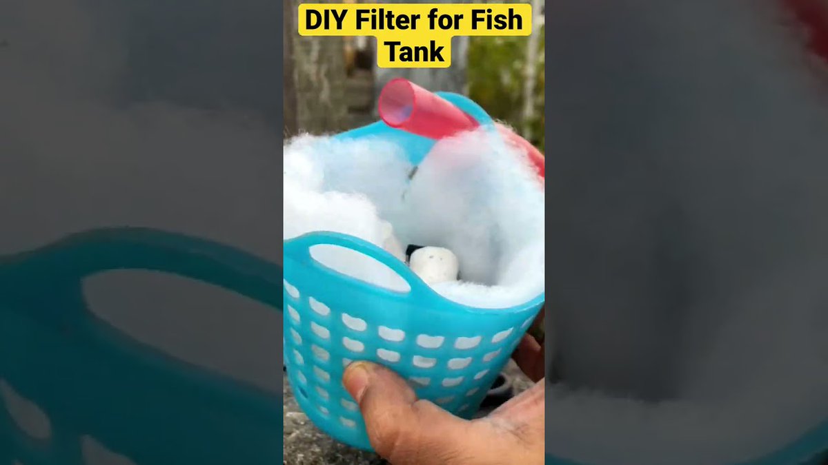 FlakeFood's tweet image. Aquariums: DIY Filter for Fish Aquarium/Tank/Pond very cheap. #shorts #aquariumfilter #diyfilter ...

flakefood.com/406546/aquariu…