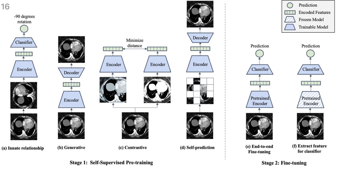 New systematic review and guidelines on self-supervised learning for medical imaging just dropped!

nature.com/articles/s4174…

Congrats to <a href="/MarsScHuang/">mars huang</a> <a href="/Dr_ASChaudhari/">Akshay Chaudhari</a> @syeung10 <a href="/anujpareek/">Anuj Pareek</a>