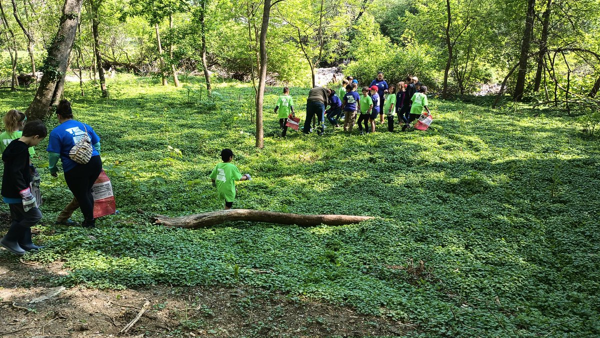 Mary Blackwell tweet media