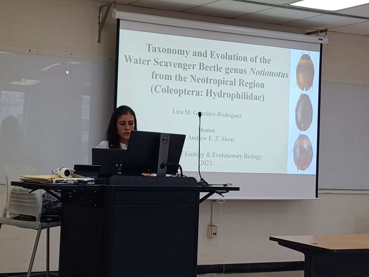 Peter Willadsen (@phasmidphan) on Twitter photo I'm so happy for my amazing labmate <a href="/LizaMGonzalezR/">Liza M. González-Rodríguez</a> she successfully defended her thesis today and is officially a Master of beetles!!!🪲 I'm so happy for my amazing labmate <a href="/LizaMGonzalezR/">Liza M. González-Rodríguez</a> she successfully defended her thesis today and is officially a Master of beetles!!!🪲