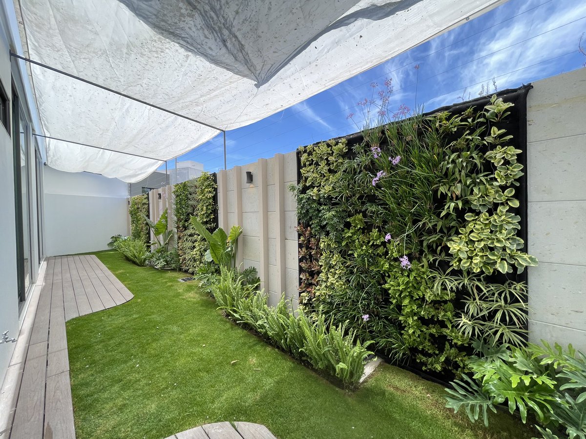 All Green tweet media