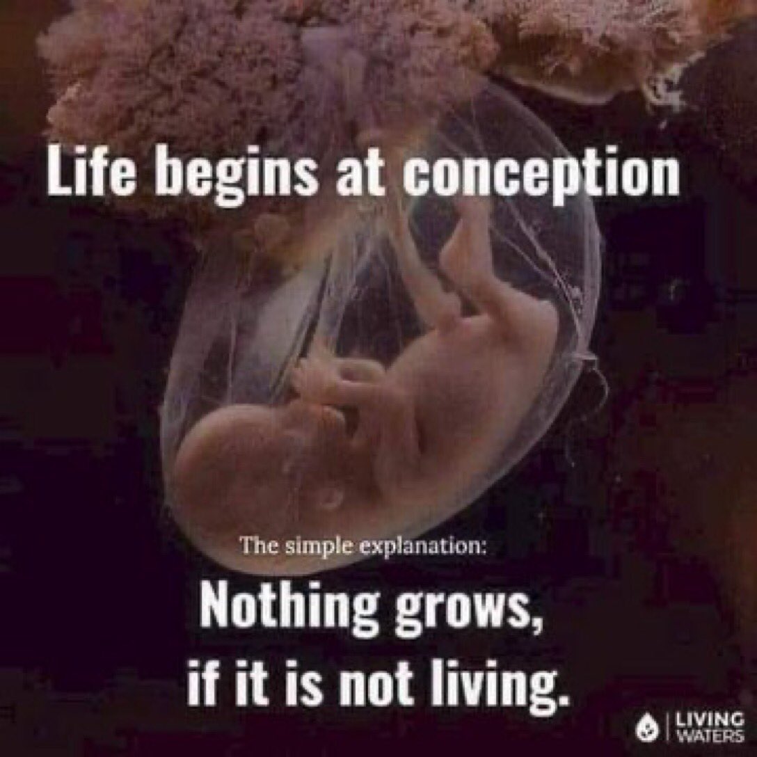 Susan (@emma6usa) on Twitter photo I AM PROLIFE
<a href="/KeysLiisa/">LiisaLovesKeys โค๏ธ๐๐ถ๐ซ๐ท๐</a> <a href="/fookcu_f/">Fook</a> <a href="/Ms_Betty_Bop/">๐ MsBetty-Boop ๐</a> <a href="/RodneyEvans/">Pastor Dr. Rodney Evans</a> <a href="/LakeGirlPaula/">Paula ๐ฝ</a> <a href="/helen44767171/">Elena</a> <a href="/heyitsmeCarolyn/">๊งโ๐๐ตโฏ๐ท๐ญ๐ฒ๐ฎ๐ผโ๊ง</a> @kagkj76 <a href="/thandar324/">Lord Thandar</a> <a href="/USA4ever65/">๐บ๐ฒ Lisa โ๏ธ Angel Guardian ๐ก๏ธ</a> <a href="/sylk50/">Mira ๐ฝ</a> <a href="/WaterburyKevin/">kevin waterbury</a> <a href="/beyond_reasons/">Hot Water Frogs</a> <a href="/TRUMP_ARMY_/">TRUMP ARMY</a> <a href="/1776Eagles/">ThousandEagles๐บ๐ธ๐ฆ
๐บ๐ธ</a> <a href="/daverich503/">๐Big Maga Dave๐</a> <a href="/Its_Gav_7/">Gav aka Citizen Se7en๐ต๐บ๐ธ๐ด๓ ง๓ ข๓ ณ๓ ฃ๓ ด๓ ฟ๐ฉ๐ช</a> @Cs1us <a href="/Rebel4Kics/">Brenda C โค๏ธ๐บ๐ธ</a> <a href="/ItallionTony/">tony</a> <a href="/ArmandKleinX/">Armand Klein</a> I AM PROLIFE
<a href="/KeysLiisa/">LiisaLovesKeys โค๏ธ๐๐ถ๐ซ๐ท๐</a> <a href="/fookcu_f/">Fook</a> <a href="/Ms_Betty_Bop/">๐ MsBetty-Boop ๐</a> <a href="/RodneyEvans/">Pastor Dr. Rodney Evans</a> <a href="/LakeGirlPaula/">Paula ๐ฝ</a> <a href="/helen44767171/">Elena</a> <a href="/heyitsmeCarolyn/">๊งโ๐๐ตโฏ๐ท๐ญ๐ฒ๐ฎ๐ผโ๊ง</a> @kagkj76 <a href="/thandar324/">Lord Thandar</a> <a href="/USA4ever65/">๐บ๐ฒ Lisa โ๏ธ Angel Guardian ๐ก๏ธ</a> <a href="/sylk50/">Mira ๐ฝ</a> <a href="/WaterburyKevin/">kevin waterbury</a> <a href="/beyond_reasons/">Hot Water Frogs</a> <a href="/TRUMP_ARMY_/">TRUMP ARMY</a> <a href="/1776Eagles/">ThousandEagles๐บ๐ธ๐ฆ
๐บ๐ธ</a> <a href="/daverich503/">๐Big Maga Dave๐</a> <a href="/Its_Gav_7/">Gav aka Citizen Se7en๐ต๐บ๐ธ๐ด๓ ง๓ ข๓ ณ๓ ฃ๓ ด๓ ฟ๐ฉ๐ช</a> @Cs1us <a href="/Rebel4Kics/">Brenda C โค๏ธ๐บ๐ธ</a> <a href="/ItallionTony/">tony</a> <a href="/ArmandKleinX/">Armand Klein</a>