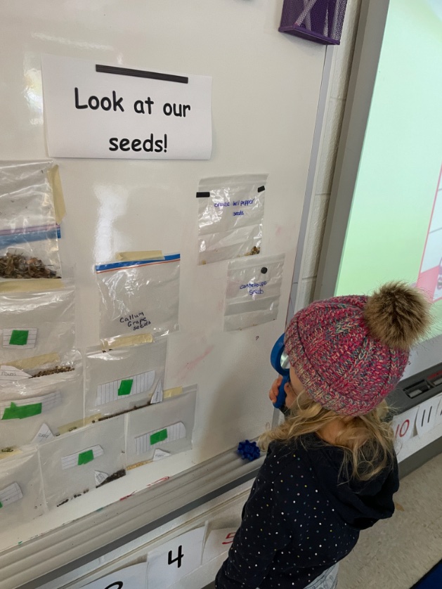 When was the last time you picked up a magnifying glass and believed that great things were about to be revealed?
#kindergartenlife #lkdsb #fdk