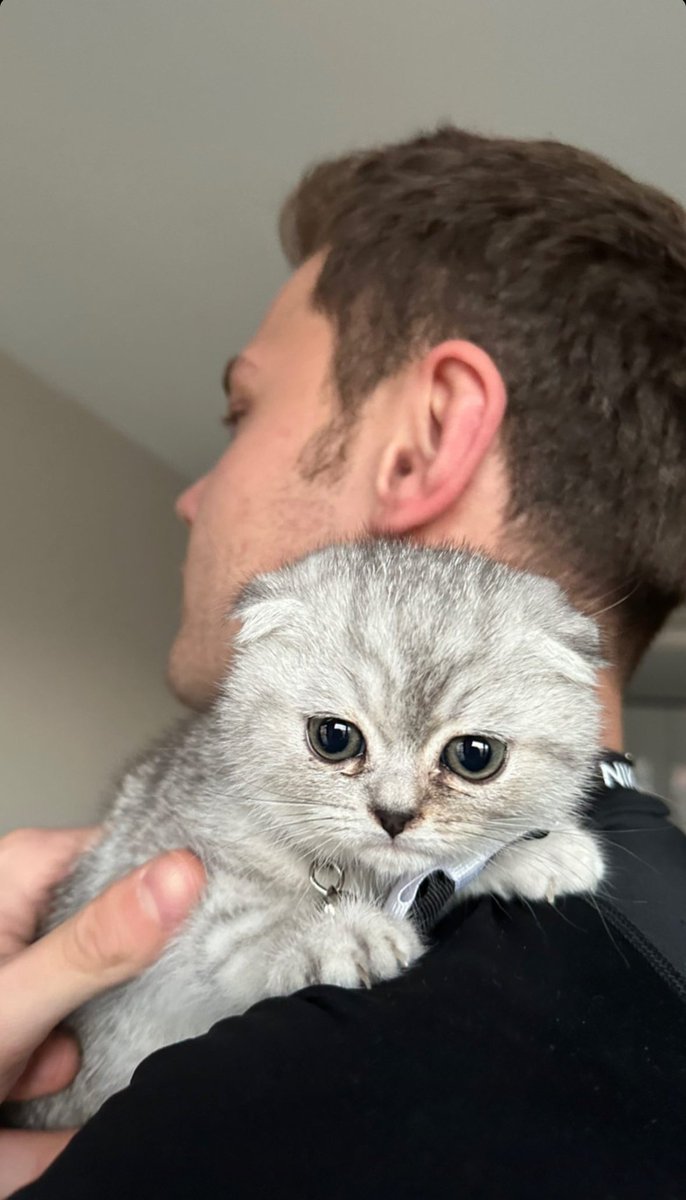 normalde kedi fotoğraflarına bile bakamam fobim olduğu için ama bu fotoğraf odamda asılı bile durabilir öyle güzel 🖤🫀
#aytol #AyTol