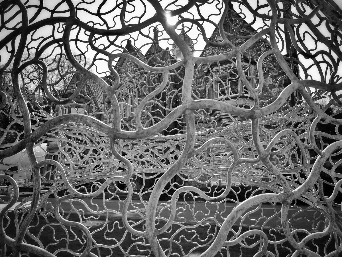ShayNicol23's tweet photo. Fabulous place, beautiful sculptures inspired by nature. #huaweimate20pro #blackandwhitephotography #monochrome #patternsofnature #plasglynyweddw @plasglyn https://t.co/qU0x6KHDUj