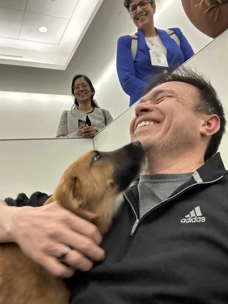 Bert Vargas tweet media