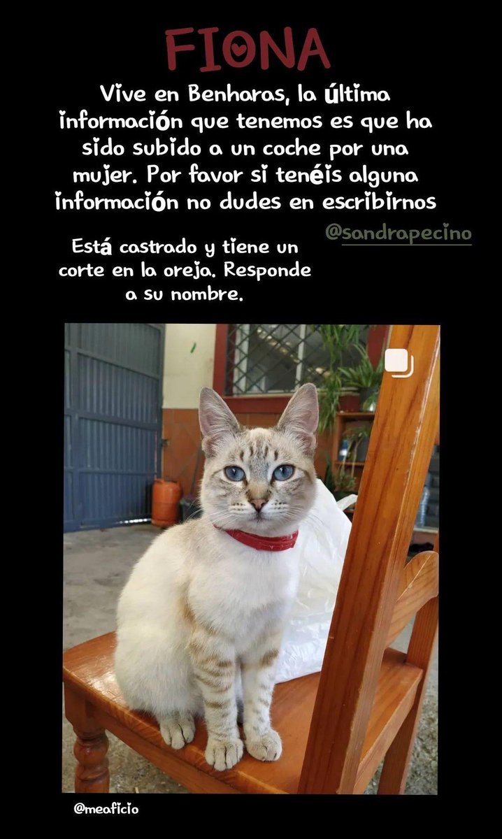 🚨GENTE DE LOS BARRIOS🚨