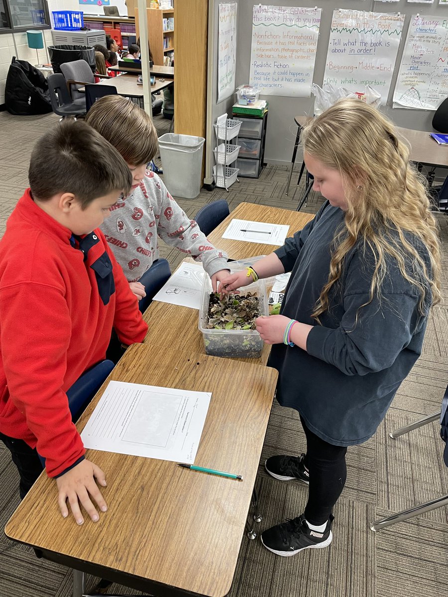 #5thgrade built their own #terrarium in their Ecosystem Restoration @Amplify science unit #makelearningfun #HandsOn  #reallifelearning #ecosystem #eaglefamily #alwayssoaring @dr_mboyce @kckschools