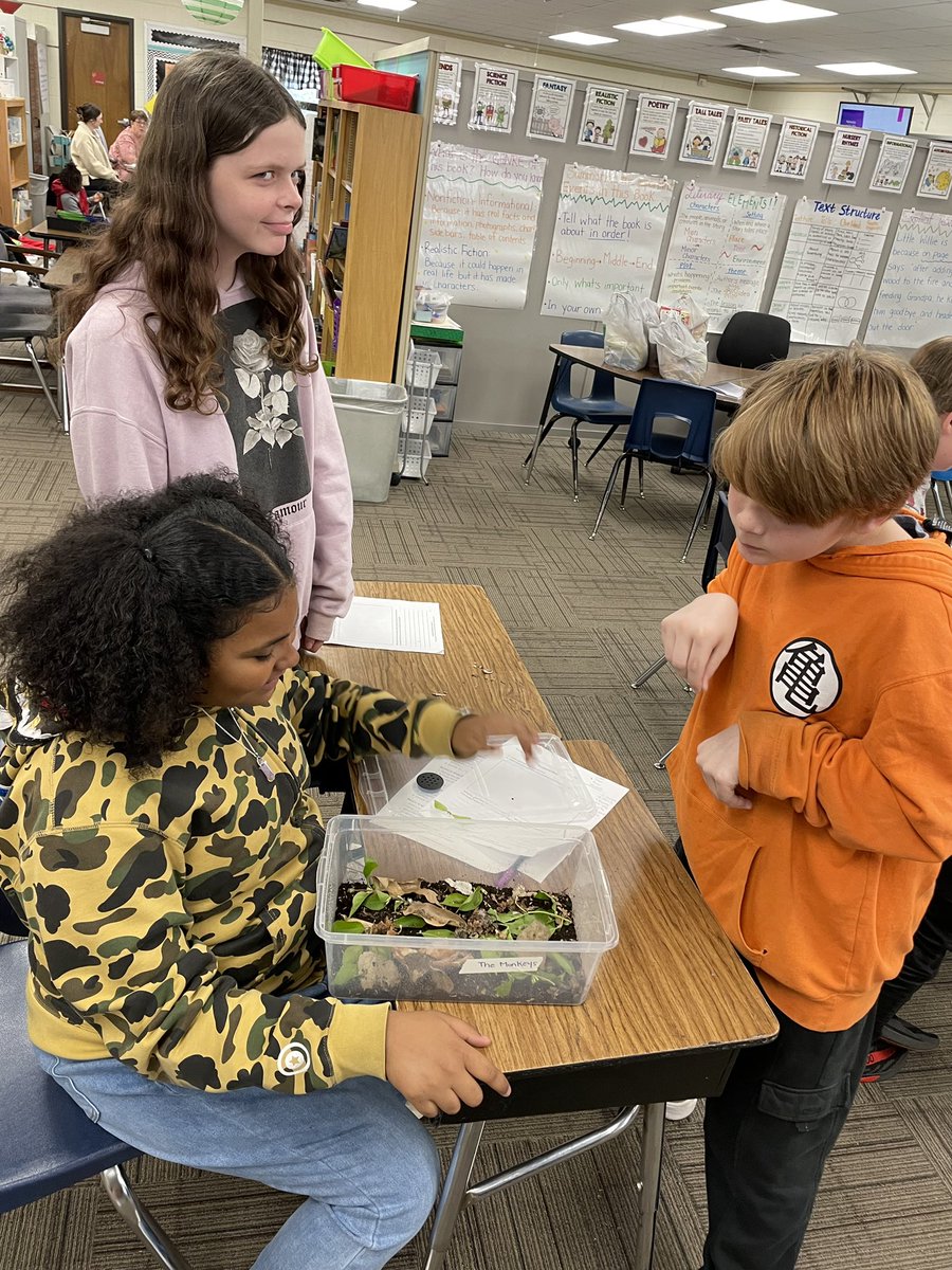 stonypointsouth's tweet image. #5thgrade built their own #terrarium in their Ecosystem Restoration @Amplify science unit #makelearningfun #HandsOn  #reallifelearning #ecosystem #eaglefamily #alwayssoaring @dr_mboyce @kckschools