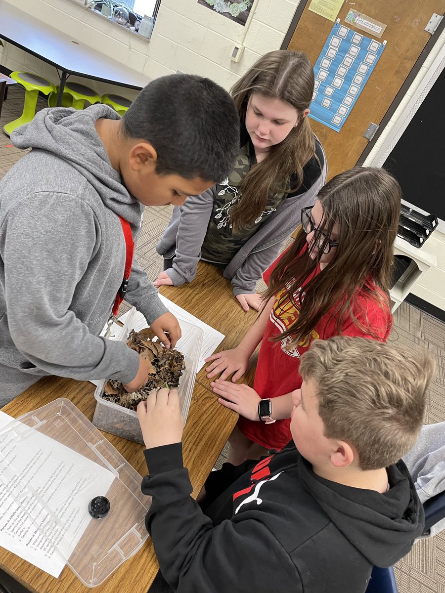 stonypointsouth's tweet image. #5thgrade built their own #terrarium in their Ecosystem Restoration @Amplify science unit #makelearningfun #HandsOn  #reallifelearning #ecosystem #eaglefamily #alwayssoaring @dr_mboyce @kckschools